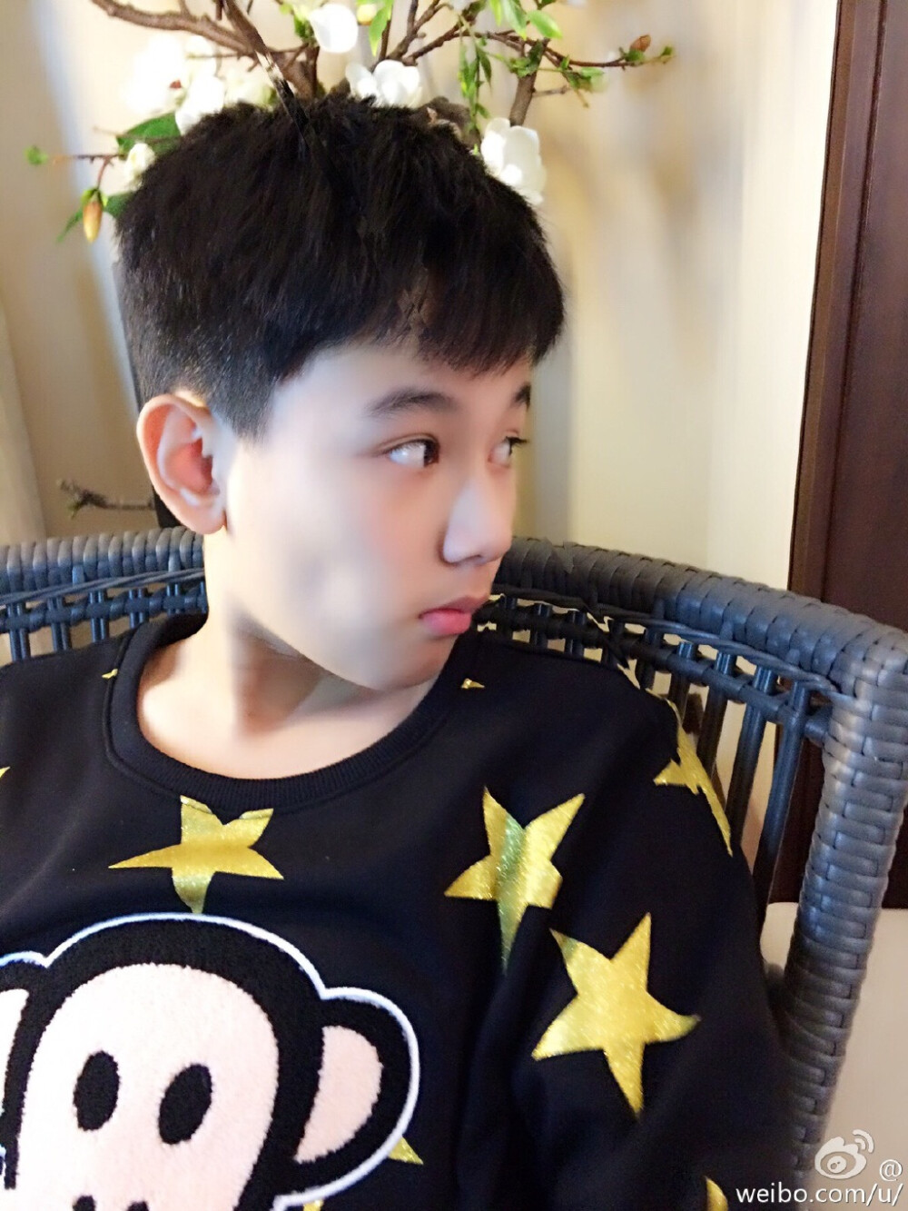 00后小鲜肉潜力股胡先煦