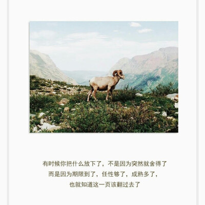 文字