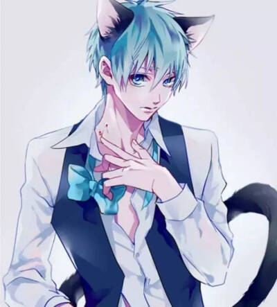 动漫猫与少年