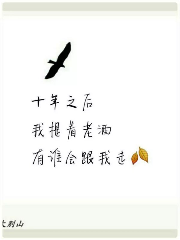 我有孤独跟烈酒有谁跟我走