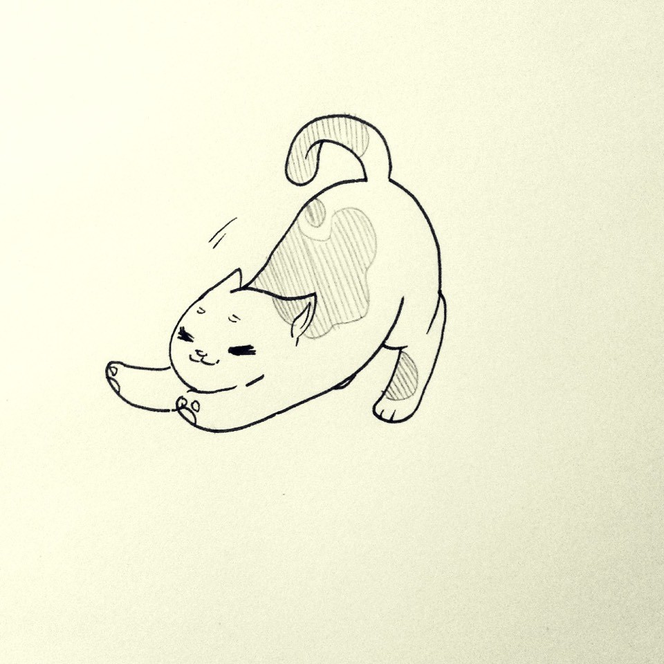 猫趴着手绘图片