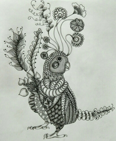 《禅绕花与妖怪》作者:蛛蛛