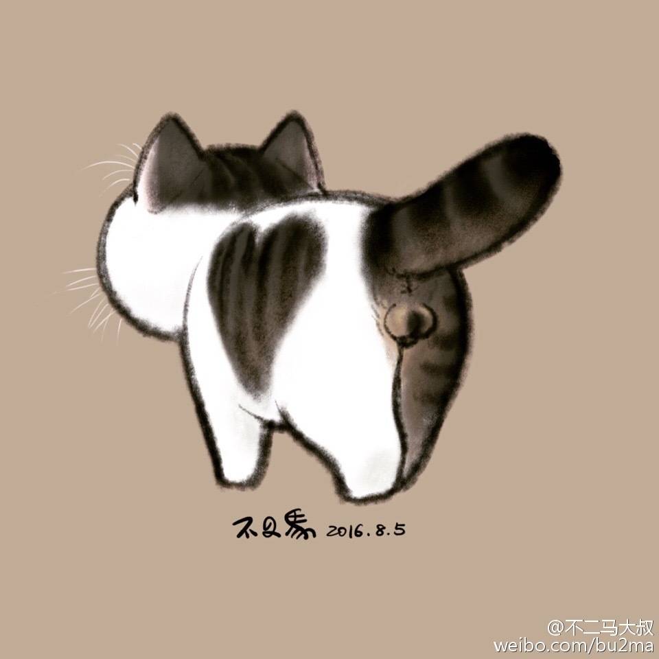 不二马猫蛋蛋图片