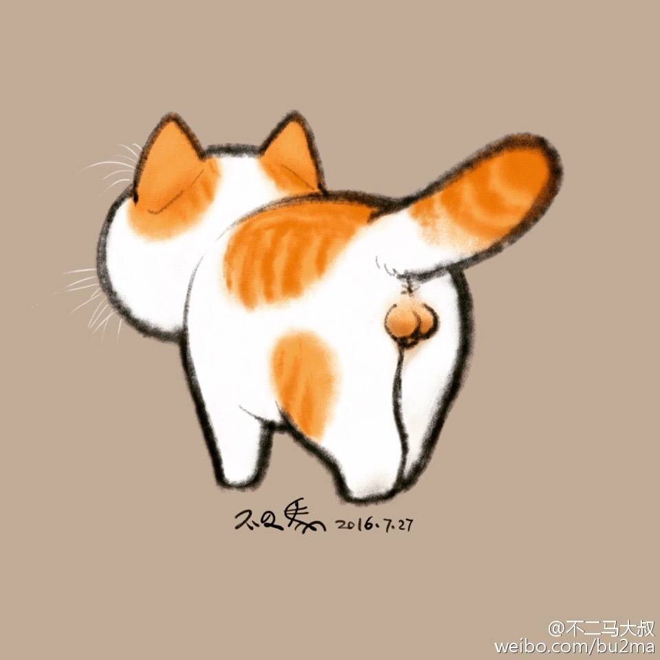 不二马猫蛋蛋图片