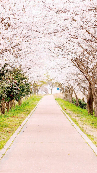 微信背景图唯美小清新图片