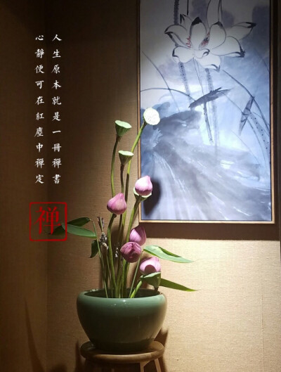 禅意 堆糖,美图壁纸兴趣社区