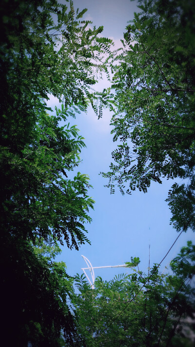 今天天气超好,希望最近不要再下雨啦!