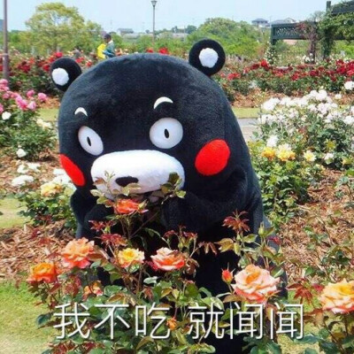 我不吃 就闻闻熊本熊表情包