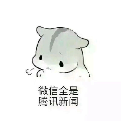 抱瓜子 可爱 萌 表情包 聊天专用包 聊天表情 逗比 搞笑 小图表情包