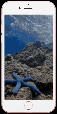 动态海洋手机壁纸高清图片