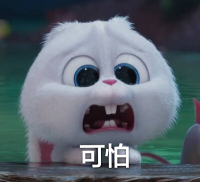 爱宠大机密