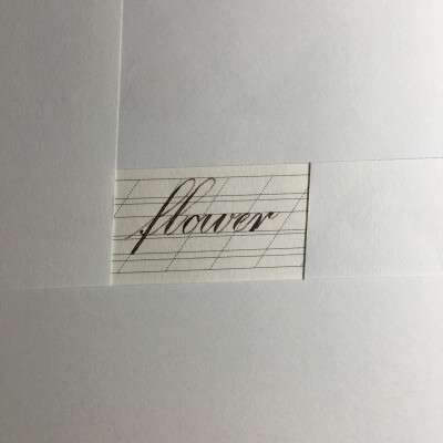 flower的花样字体图片