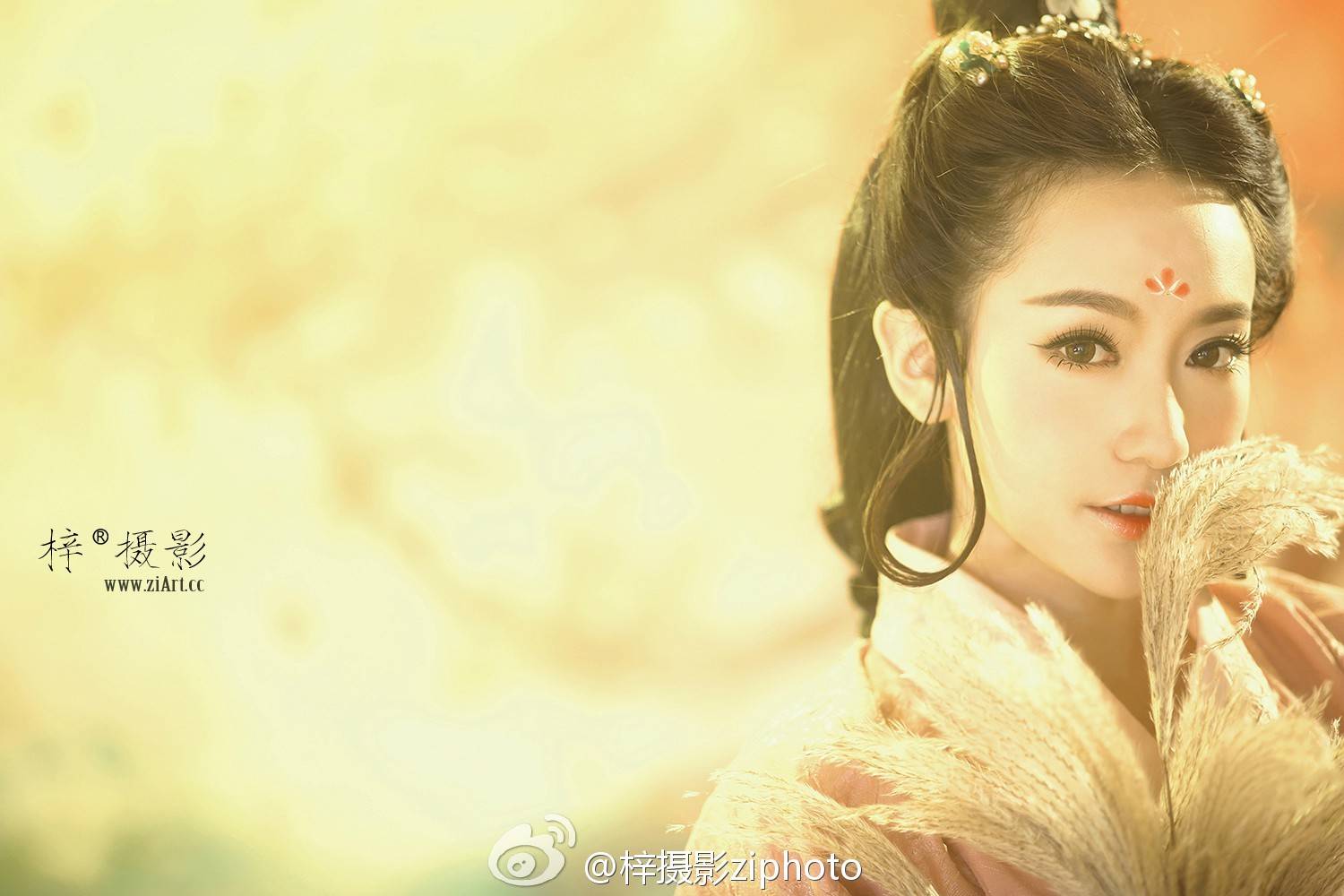 梓摄影 金气秋分,风清露冷秋期半,凉蟾光满,桂子飘香远.by:慕容清儿