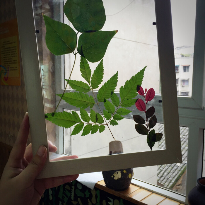 幼儿园废物利用幼儿园相框装饰树叶装饰走廊装饰楼梯装
