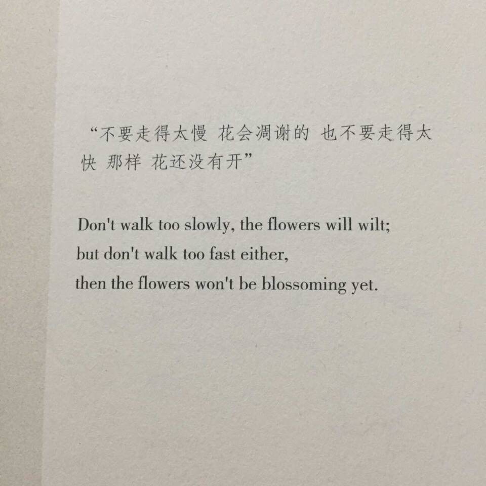 文字美文句子欣赏