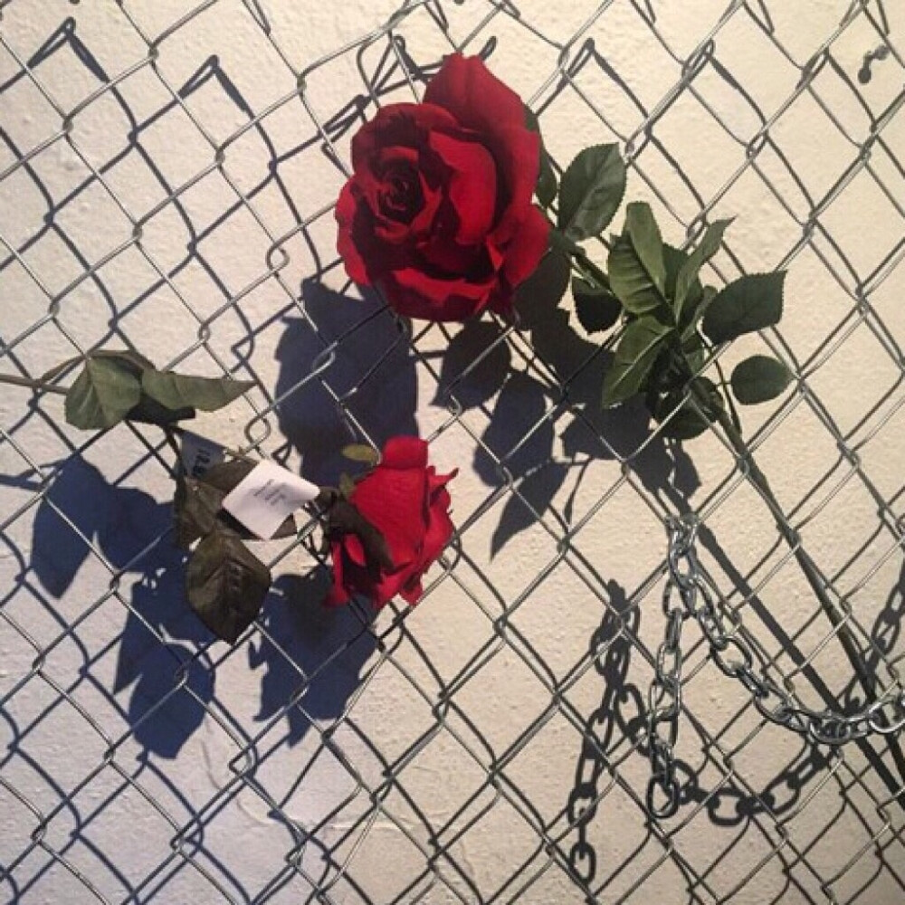 二呆辞 摄影 手写 背景图 简单图 主页图 空间素材/壁纸 景色 酷 很