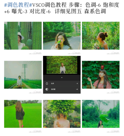 手机p图#滤镜教程#调色教程#软件:vsco 清新 简约 ulzzang 港风 欧美