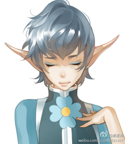 小花仙亚伯精元