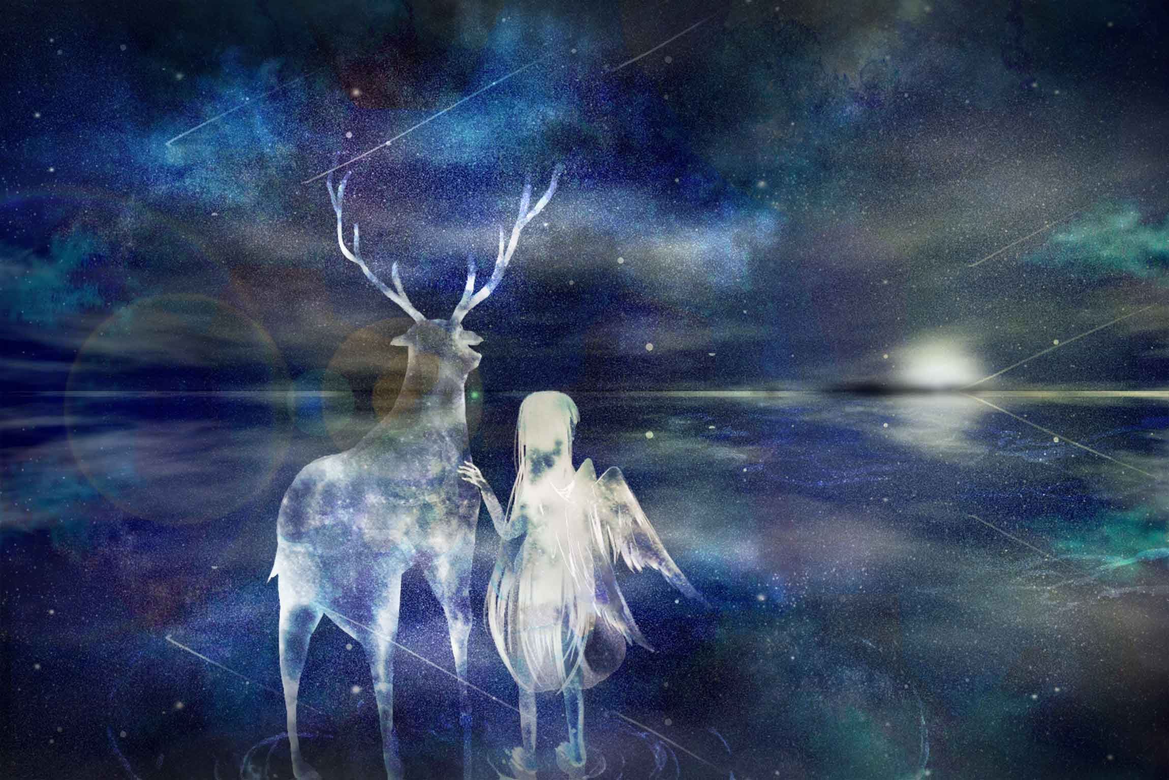 天使与白鹿 