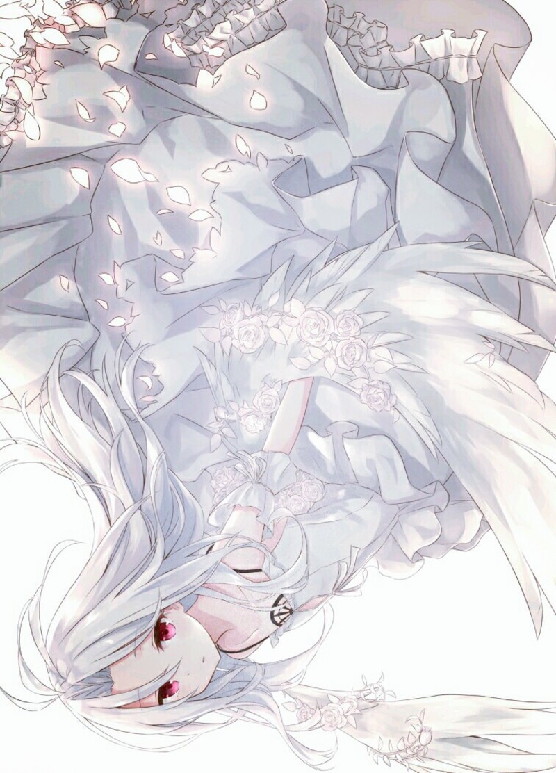 「锦鲤」白色 动漫 美少女 插画 治愈系 高清