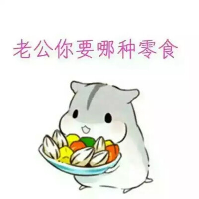 hamham 小仓鼠表情包