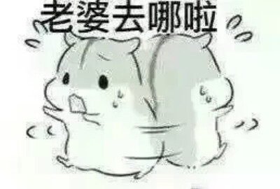 hamham 小仓鼠表情包