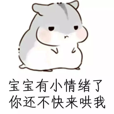 hamham仓鼠表情包图片