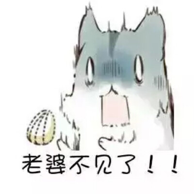 hamham 小仓鼠表情包