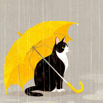 猫打伞的头像图片