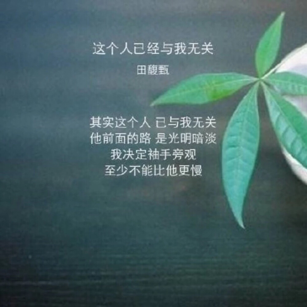 《这个人已与我无关》-田馥甄