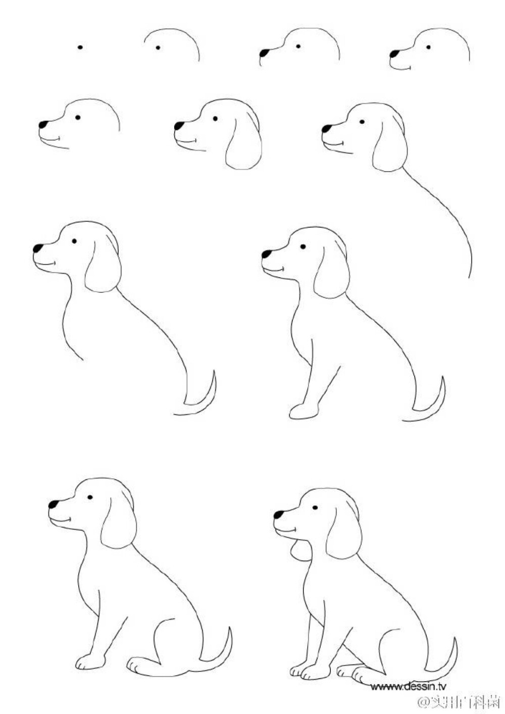 小狗简笔画画法简单图片