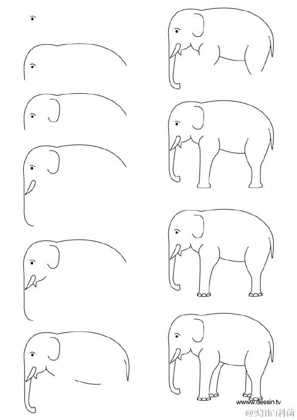 大象的腿简笔画图片