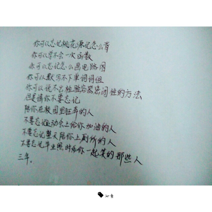 文字沁鱼原创手写情话毕业青春句子