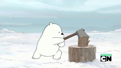 ice bear