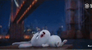 兔子雪球表情包图片