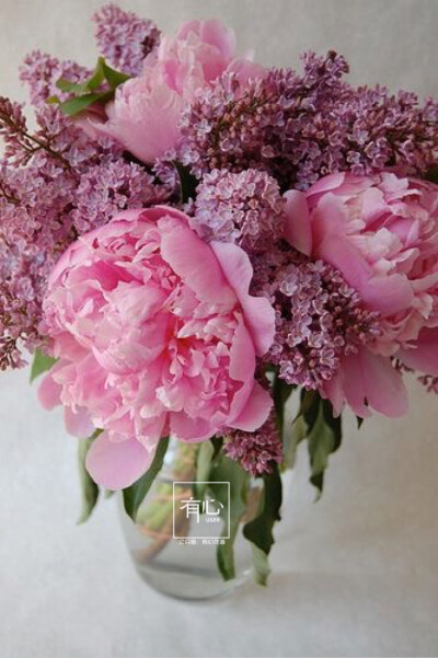 鲜花##diy##手工##装饰##素材#来自@usee有心花礼"的花瓣(微信订阅号