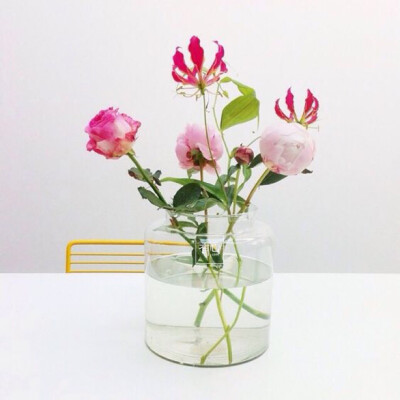 鲜花##diy##手工##装饰##素材#来自@usee有心花礼"的花瓣(微信订阅号