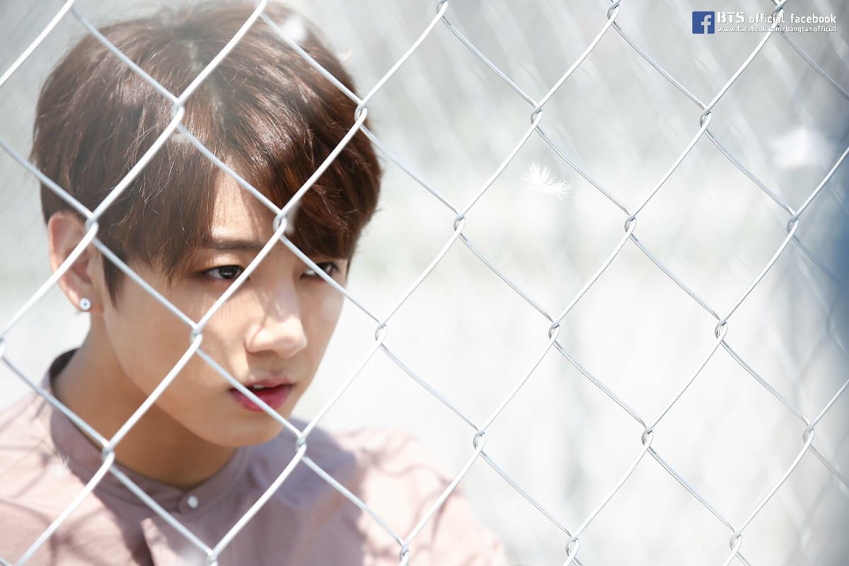 [壁纸]防弹少年团 bts 田柾国 - 堆糖,美图壁纸兴趣社区
