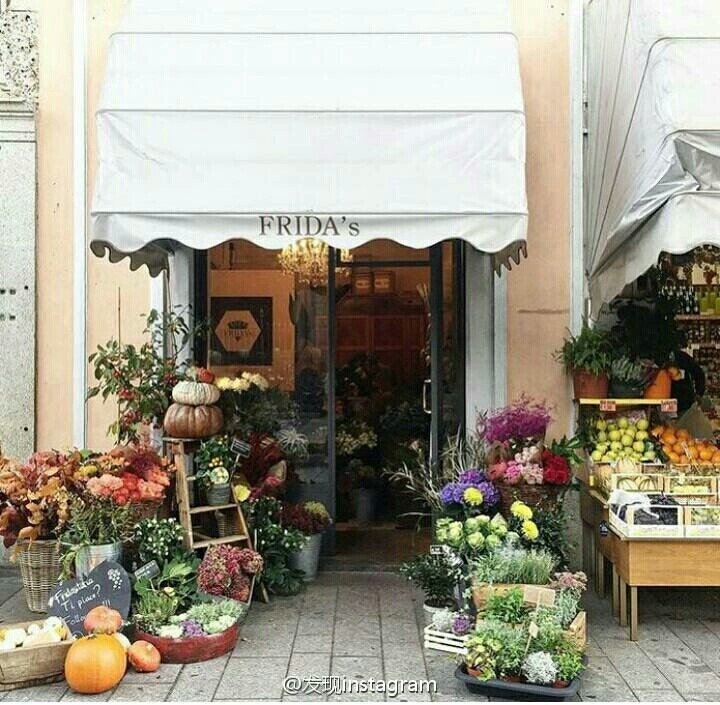 梦想开一家温暖的花店,安渡余生 ins:theprettycities