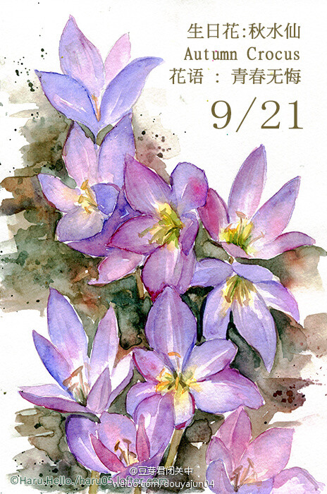 动漫漫画素材水粉 花卉 花语