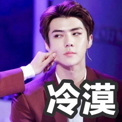 exo表情包 吴世勋 sehun