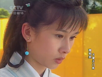 文颂娴杨排风