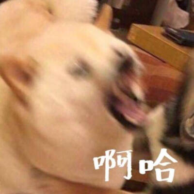 头像男简约背影