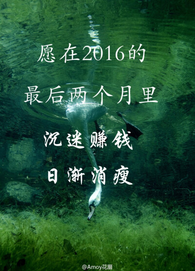 沉迷赚钱,日渐消瘦