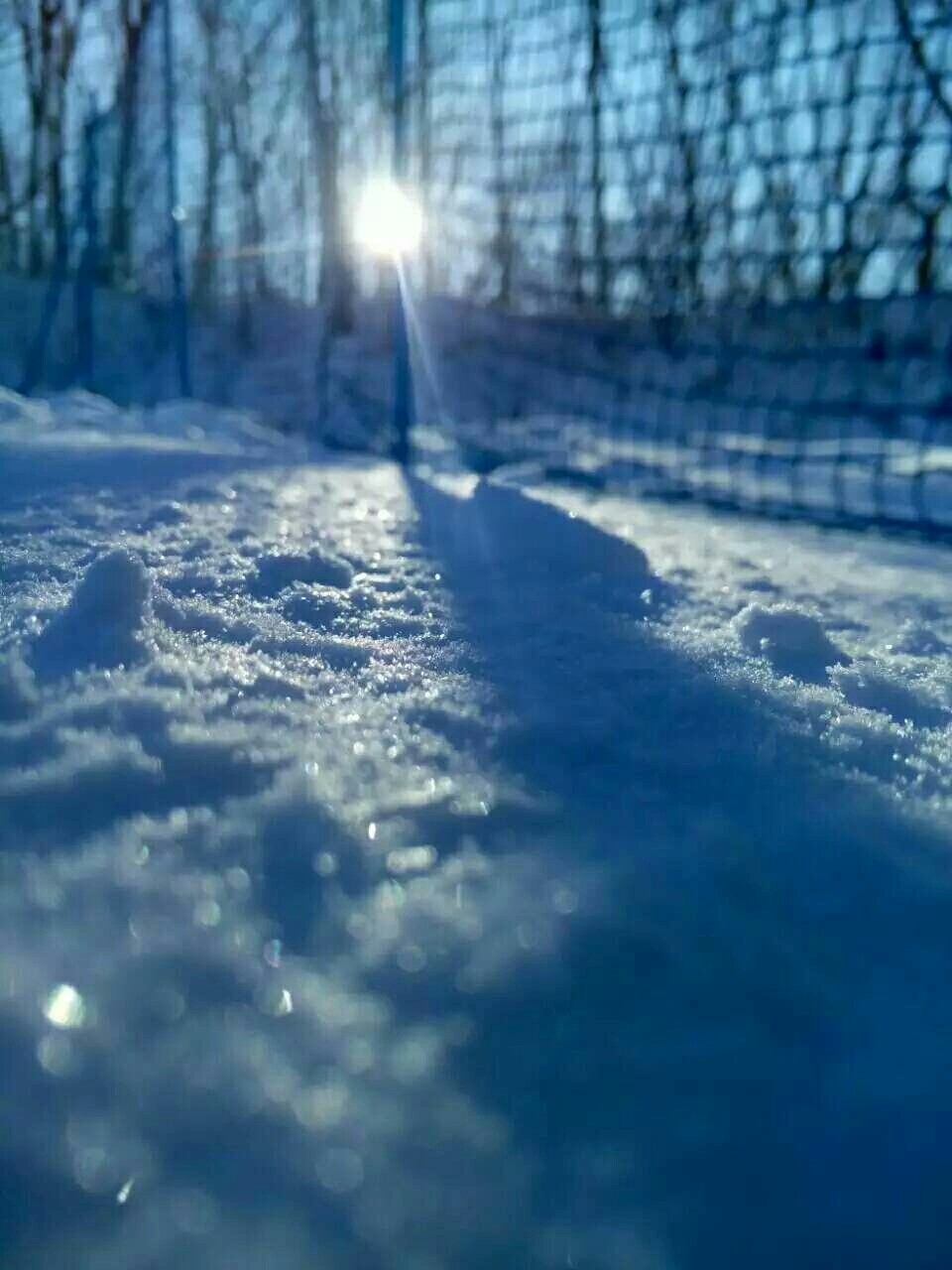 雪后阳光
