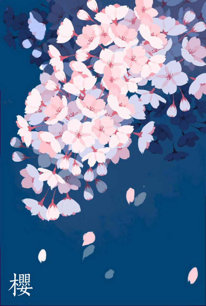 樱花の插画