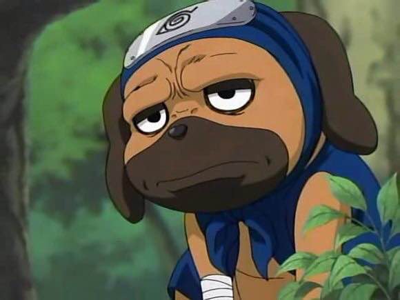 卡卡西的通灵兽