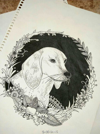 seven木  发布到  线描画 图片评论 0条  收集   点赞  评论  黑白画