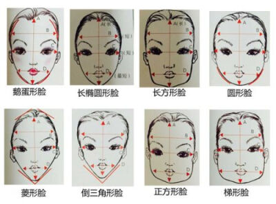 脸型认识