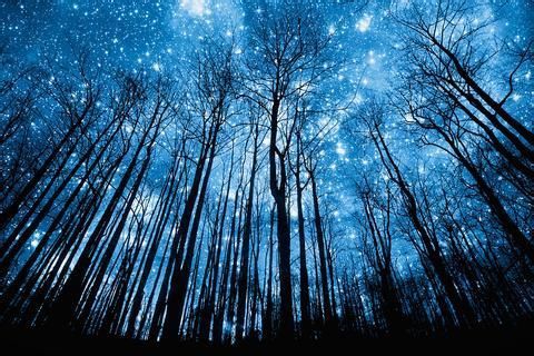 【星空 星系 星海 森林 蓝色系 梦幻 意境 清新 唯美 】